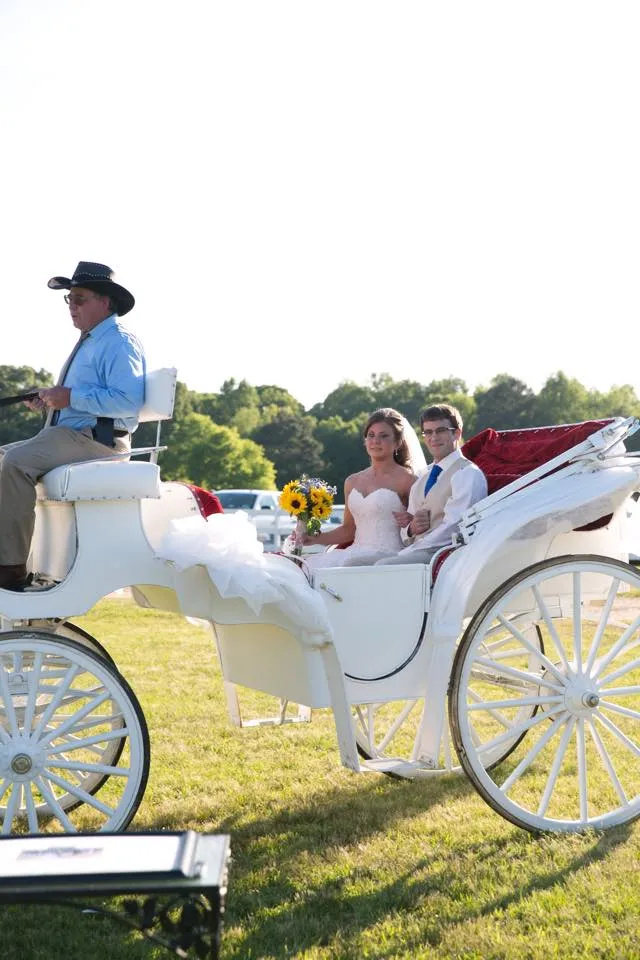 Bride and groom arriving in horse-drawn carriage