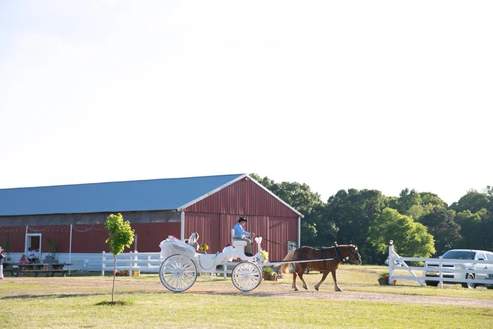 Horse-drawn carriage with barn in background